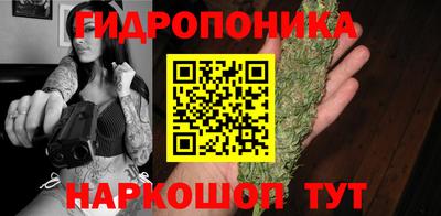ГАЛЛЮЦИНОГЕННЫЕ ГРИБЫ Коммунар