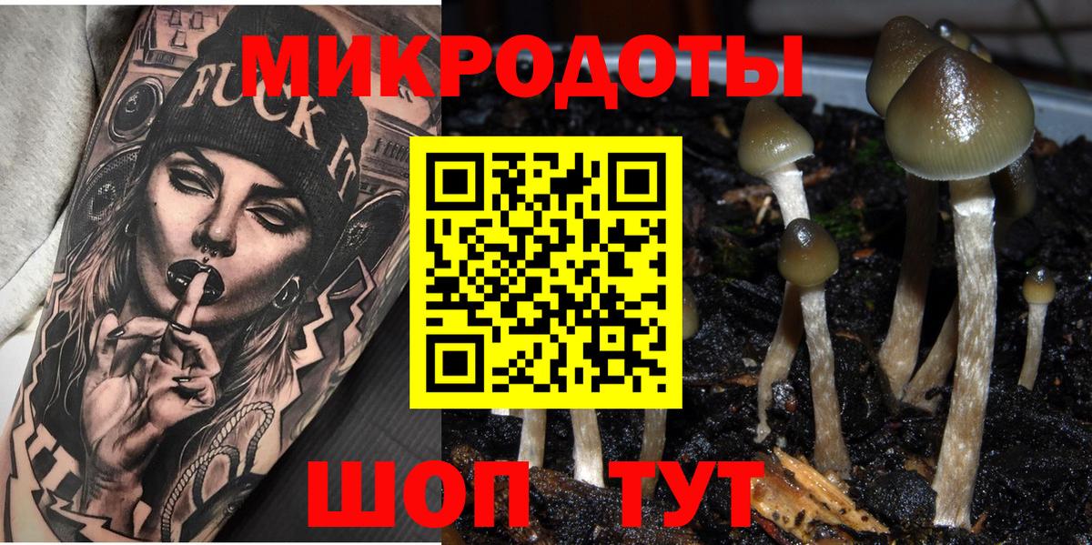 Шахты  купить закладку  Вход с VPN  Псилоцибиновые грибы прущие грибы 