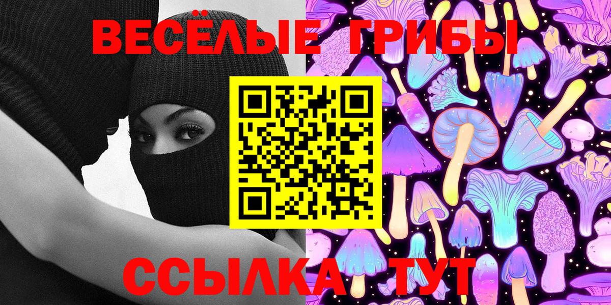 Псилоцибиновые грибы ЛСД Шахты
